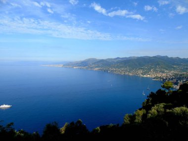 Liguria, İtalya - 25.09.2019: Güzel mavi gökyüzü ile ligurian sahil inanılmaz bir başlık. Denize panoramik manzara ve sudaki ağaçların yansıması. Siyah beyaz fotoghraphy.