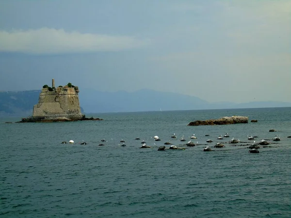 ポルトヴェーネレ イタリア 2019 ポルトヴェネレの町の素晴らしい春のパノラマ 地中海 リグーリア州 スペツィア州 イタリア ヨーロッパの素晴らしい夜景 走行コンセプトの背景 — ストック写真