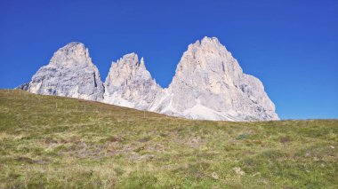 Seceda zirvesinde harika bir manzara. Trentino Alto Adige, Dolomites Alps, Güney Tyrol, İtalya, Avrupa. Odle dağ sırası, Val Gardena. Majestic Furchetta zirvesi. Sabah güneşinde mor çiçekler.
