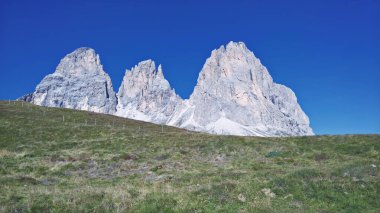 Seceda zirvesinde harika bir manzara. Trentino Alto Adige, Dolomites Alps, Güney Tyrol, İtalya, Avrupa. Odle dağ sırası, Val Gardena. Majestic Furchetta zirvesi. Sabah güneşinde mor çiçekler.
