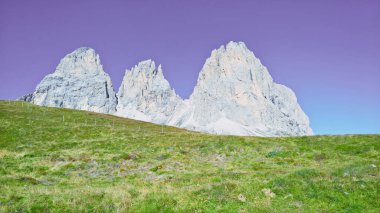Seceda zirvesinde harika bir manzara. Trentino Alto Adige, Dolomites Alps, Güney Tyrol, İtalya, Avrupa. Odle dağ sırası, Val Gardena. Majestic Furchetta zirvesi. Sabah güneşinde mor çiçekler.