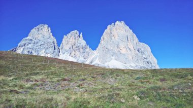 Seceda zirvesinde harika bir manzara. Trentino Alto Adige, Dolomites Alps, Güney Tyrol, İtalya, Avrupa. Odle dağ sırası, Val Gardena. Majestic Furchetta zirvesi. Sabah güneşinde mor çiçekler.