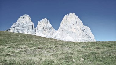 Seceda zirvesinde harika bir manzara. Trentino Alto Adige, Dolomites Alps, Güney Tyrol, İtalya, Avrupa. Odle dağ sırası, Val Gardena. Majestic Furchetta zirvesi. Sabah güneşinde mor çiçekler.