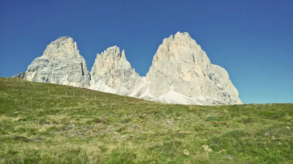 Seceda zirvesinde harika bir manzara. Trentino Alto Adige, Dolomites Alps, Güney Tyrol, İtalya, Avrupa. Odle dağ sırası, Val Gardena. Majestic Furchetta zirvesi. Sabah güneşinde mor çiçekler.
