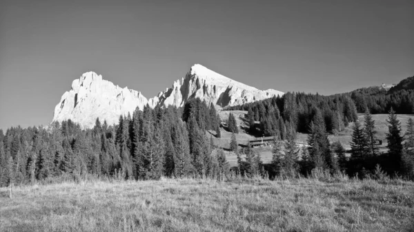 Дивовижний Вид Вершину Сесіди Trentino Alto Adige Dolomites Alps South — стокове фото
