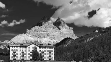 Trentino - Alto Adige, İtalya - 06 / 18 / 2020: Seceda zirvesinde muhteşem manzara. Trentino Alto Adige, Dolomites Alps, South Tyrol, Odle dağ sırası, Val Gardena. Sabah güneşinde mor çiçekler.