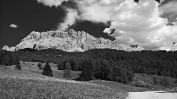 Trentino Alto Adige Italie 2020 Vue Imprenable Sur Sommet Seceda — Photo