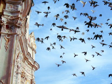 Cervo Ligure, İtalya - 06 / 15 / 2020: Yaz günlerinde Riviera Ligure civarında seyahat. Deniz kenarındaki küçük vilagların tipik eski binalarla güzel fotoğrafları..