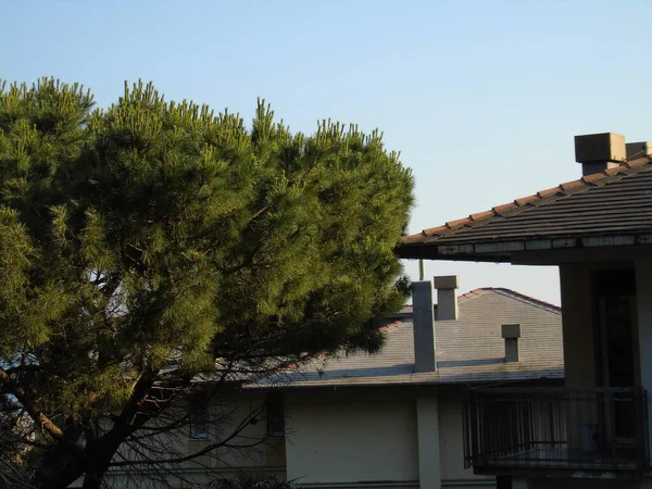 Genova, Italy - 07/12/2020: An amazing photography of the city of Genova from the hills in summer days, with a great blue sky in the background and some trees behind the buildings.