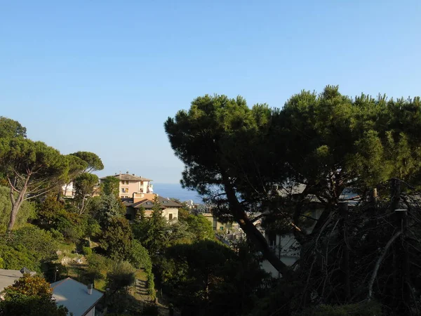 イタリアのジェノヴァ 2020年7月12日 夏の日に丘の上からジェノヴァの街の素晴らしい写真 背景に青空と建物の後ろのいくつかの木 — ストック写真