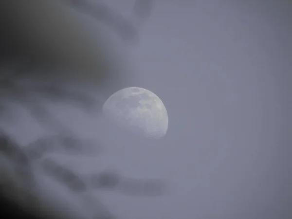 Ligurie Italie 2020 Belle Photographie Clair Lune Dans Les Différentes — Photo