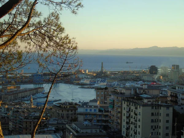 Genova Italia Agosto 2020 Veduta Aerea Terminal Spedizioni Container Container — Foto Stock