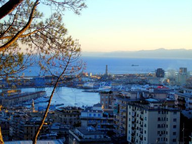 Cenova, İtalya 5 Ağustos 2020: Ceneviz limanındaki nakliye ve konteyner terminalinin havadan görünüşü ve şehrin deniz kenarı, stadyum ve konutları olmayan diğer tarafına panoramik manzara.