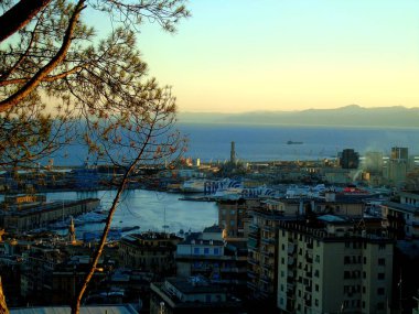 Cenova, İtalya 5 Ağustos 2020: Ceneviz limanındaki nakliye ve konteyner terminalinin havadan görünüşü ve şehrin deniz kenarı, stadyum ve konutları olmayan diğer tarafına panoramik manzara.