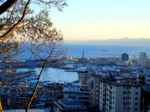 Gênes Italie Août 2020 Vue Aérienne Terminal Maritime Conteneur Dans — Photo