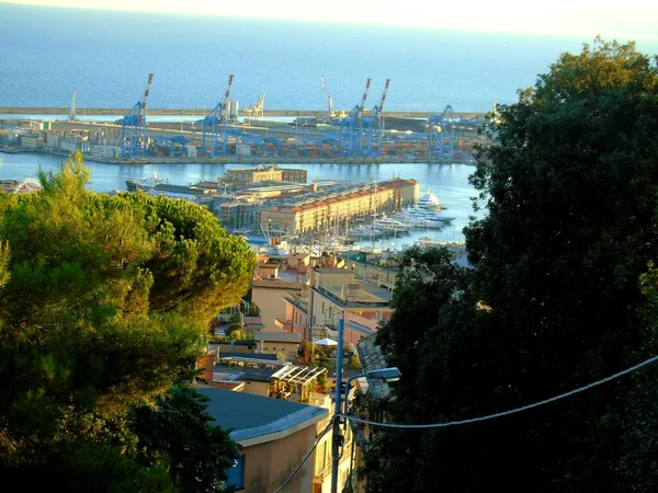 Genua Italië Augustus 2020 Uitzicht Vanuit Lucht Scheepvaart Containerterminal Haven — Stockfoto