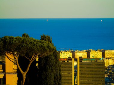 Cenova, İtalya - 08 / 25 / 2020: Luigi ferraris Stadyumu 'nun ve yaz günlerindeki Genova limanının güzel havadan çekilmiş fotoğrafları.