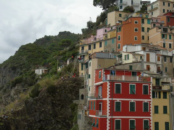 Riomaggiore Italy 2020 Beautiful Photography Countryside Cinque Terre Italy Сіре — стокове фото