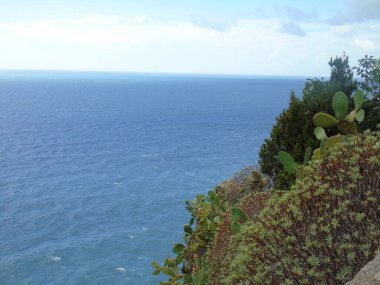 Cinque Terre, İtalya - 08 / 31 / 2020: Bir kıyı balıkçı köyünün güzel manzarası, pek çok küçük renkli ev manzarası, Cinque Terre adlı küçük İtalyan kasabasının geleneksel mimarisi