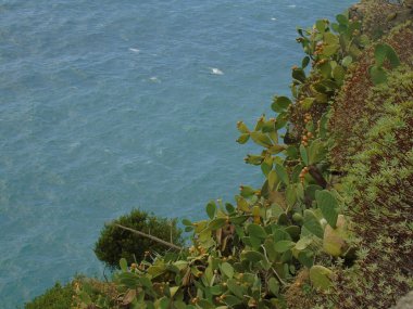 Cinque Terre, İtalya - 08 / 31 / 2020: Bir kıyı balıkçı köyünün güzel manzarası, pek çok küçük renkli ev manzarası, Cinque Terre adlı küçük İtalyan kasabasının geleneksel mimarisi