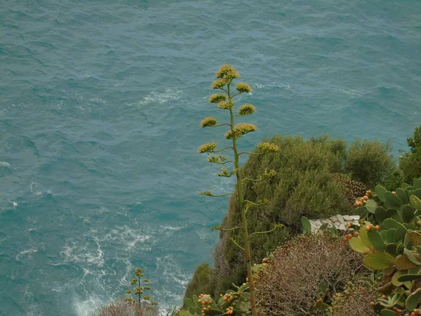 Cinque Terre Italy 2020 Красивий Краєвид Прибережного Рибальського Села Дивовижний — стокове фото