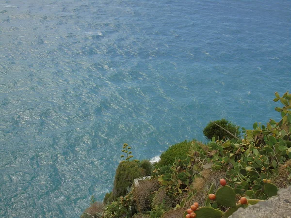 Cinque Terre Talya 2020 Bir Kıyı Balıkçı Köyünün Güzel Manzarası — Stok fotoğraf