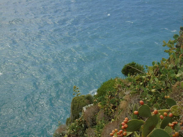 Cinque Terre Talya 2020 Bir Kıyı Balıkçı Köyünün Güzel Manzarası — Stok fotoğraf