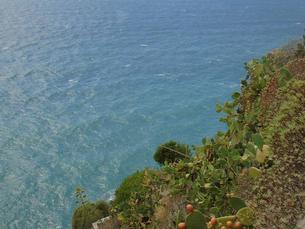 Cinque Terre Itálie 2020 Krásná Krajina Pobřežní Rybářské Vesnice Nádherný — Stock fotografie