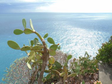 Cinque Terre, İtalya - 08 / 31 / 2020: Bir kıyı balıkçı köyünün güzel manzarası, pek çok küçük renkli ev manzarası, Cinque Terre adlı küçük İtalyan kasabasının geleneksel mimarisi
