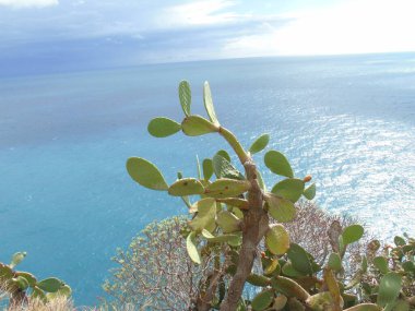 Cinque Terre, İtalya - 08 / 31 / 2020: Bir kıyı balıkçı köyünün güzel manzarası, pek çok küçük renkli ev manzarası, Cinque Terre adlı küçük İtalyan kasabasının geleneksel mimarisi