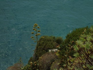 Cinque Terre, İtalya - 08 / 31 / 2020: Bir kıyı balıkçı köyünün güzel manzarası, pek çok küçük renkli ev manzarası, Cinque Terre adlı küçük İtalyan kasabasının geleneksel mimarisi