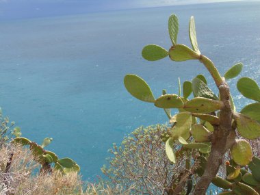 Cinque Terre, İtalya - 08 / 31 / 2020: Bir kıyı balıkçı köyünün güzel manzarası, pek çok küçük renkli ev manzarası, Cinque Terre adlı küçük İtalyan kasabasının geleneksel mimarisi