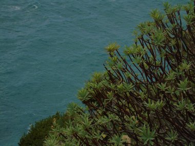 Cinque Terre, İtalya - 08 / 31 / 2020: Bir kıyı balıkçı köyünün güzel manzarası, pek çok küçük renkli ev manzarası, Cinque Terre adlı küçük İtalyan kasabasının geleneksel mimarisi