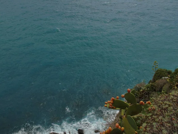 Cinque Terre Olaszország 2020 Gyönyörű Táj Egy Tengerparti Halászfalu Csodálatos — Stock Fotó