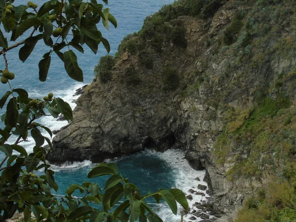 Cinque Terre イタリア 2020年8月31日 海岸漁村の美しい風景 多くの小さなカラフルな家の素晴らしい景色 Cinque Terreと呼ばれる小さなイタリアの町の伝統的な建築 — ストック写真