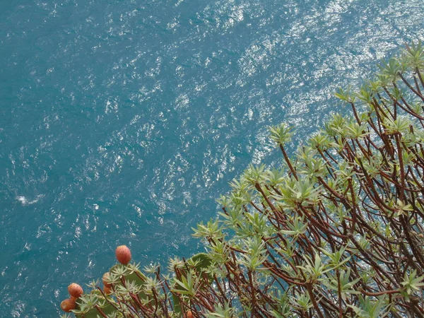 Cinque Terre Itálie 2020 Krásná Krajina Pobřežní Rybářské Vesnice Nádherný — Stock fotografie