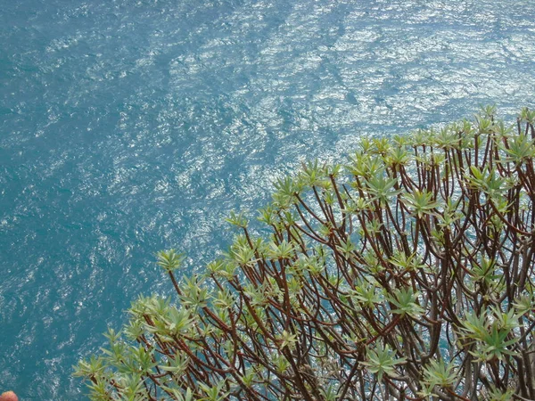 Cinque Terre Itálie 2020 Krásná Krajina Pobřežní Rybářské Vesnice Nádherný — Stock fotografie