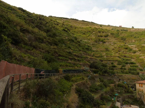 Cinque Terre, İtalya - 08 / 31 / 2020: Bir kıyı balıkçı köyünün güzel manzarası, pek çok küçük renkli ev manzarası, Cinque Terre adlı küçük İtalyan kasabasının geleneksel mimarisi
