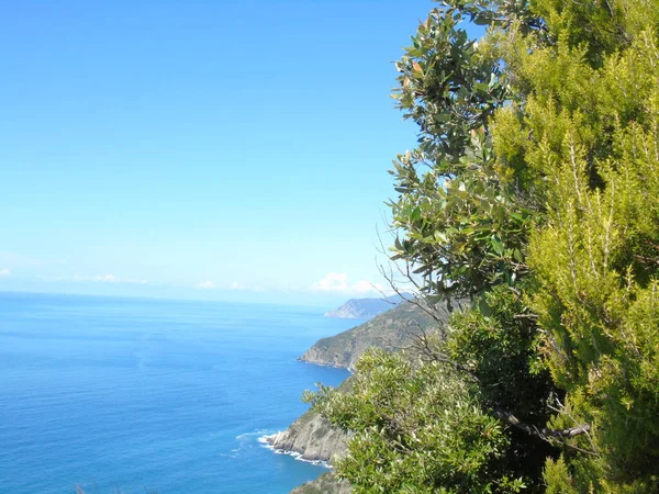 Liguria Italia 2020 Escalera Empinada Con Vistas Mar Que Conduce —  Fotos de Stock