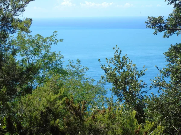 Liguria Italia 2020 Escalera Empinada Con Vistas Mar Que Conduce —  Fotos de Stock