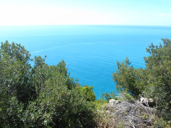 Liguria Włochy 2020 Strome Schody Widokiem Morze Prowadzące Miasta Monesteroli — Zdjęcie stockowe