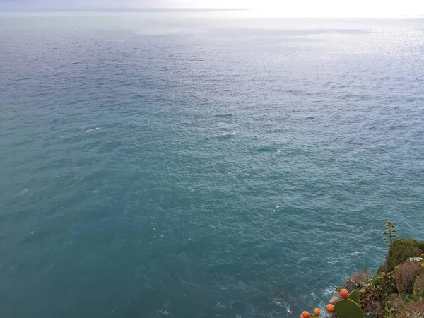 Cinque Terre Talya 2020 Bir Kıyı Balıkçı Köyünün Güzel Manzarası — Stok fotoğraf