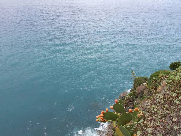 Cinque Terre Italia 2020 Hermoso Paisaje Pueblo Pesquero Costero Vista — Foto de Stock