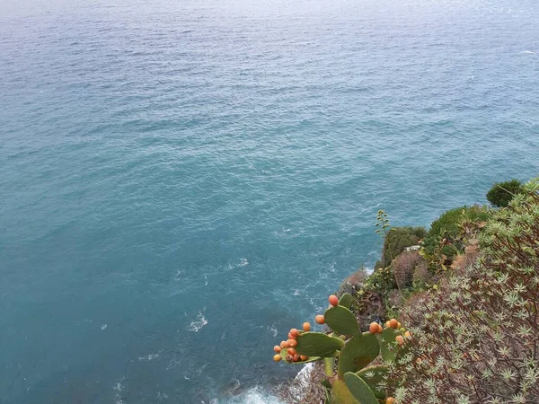 Cinque Terre Italia 2020 Hermoso Paisaje Pueblo Pesquero Costero Vista — Foto de Stock