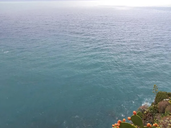 Cinque Terre Italië 2020 Prachtig Landschap Van Een Kustvissersdorp Prachtig — Stockfoto