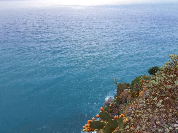 Cinque Terre Ιταλία 2020 Όμορφο Τοπίο Ένα Παραθαλάσσιο Ψαροχώρι Καταπληκτική — Φωτογραφία Αρχείου