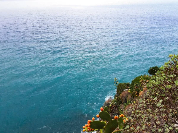 Cinque Terre Itálie 2020 Krásná Krajina Pobřežní Rybářské Vesnice Nádherný — Stock fotografie