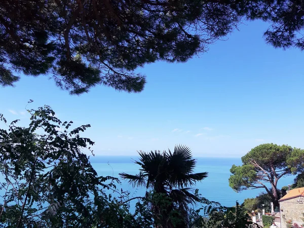 Cinque Terre Italy 2020 Красивий Пейзаж Прибережного Рибальського Села Дивовижний — стокове фото