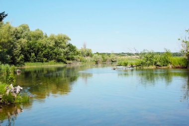 Volga nehri Saratov bölge Rusya bölgenin harika yerler kanal balıkçılık ve sessizlik içinde nibble