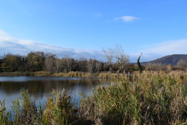 Iseo Gölü 'nün torbiere manzarası